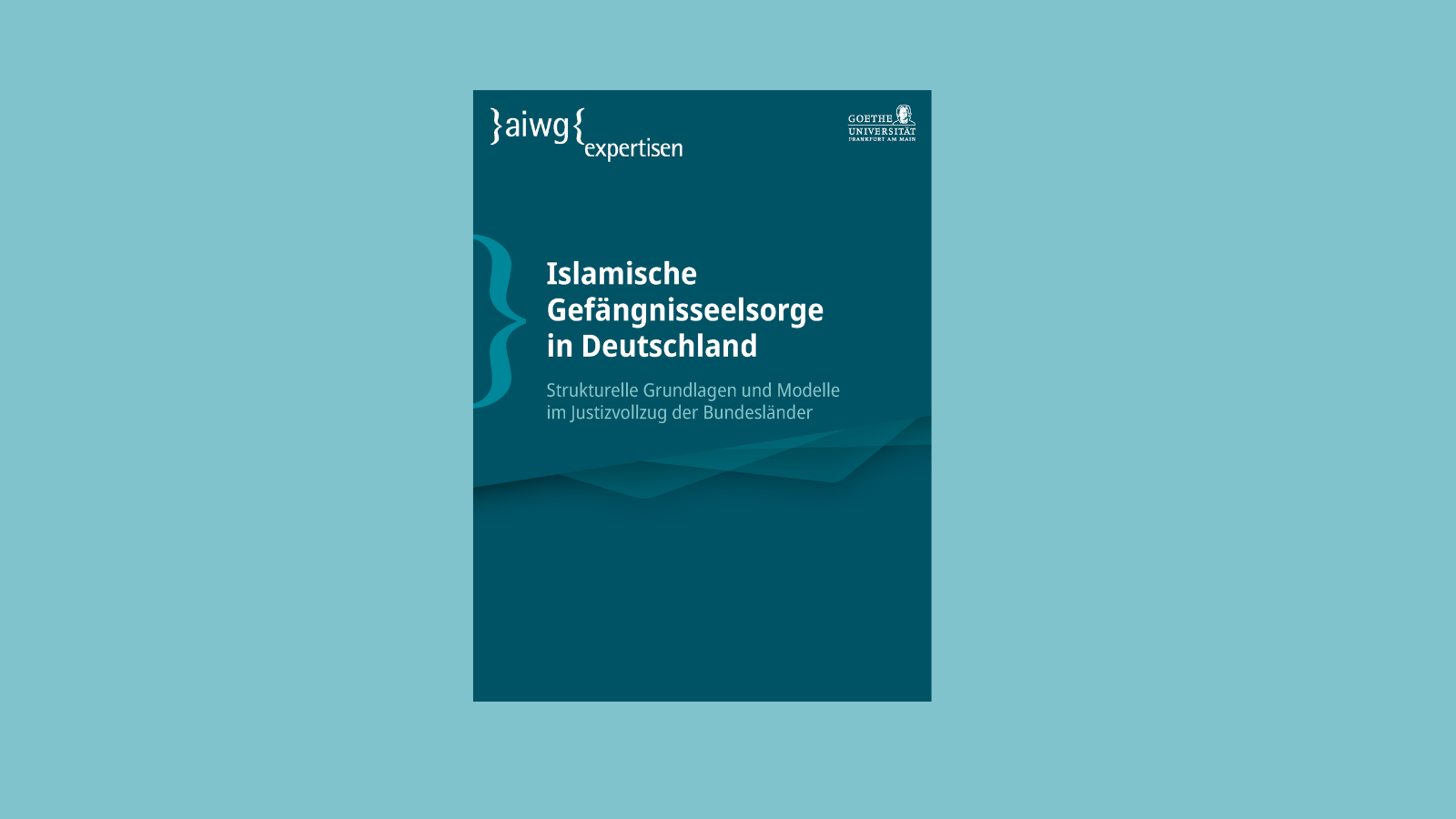 Neuerscheinung Islamische Gefaengnisseelsorge