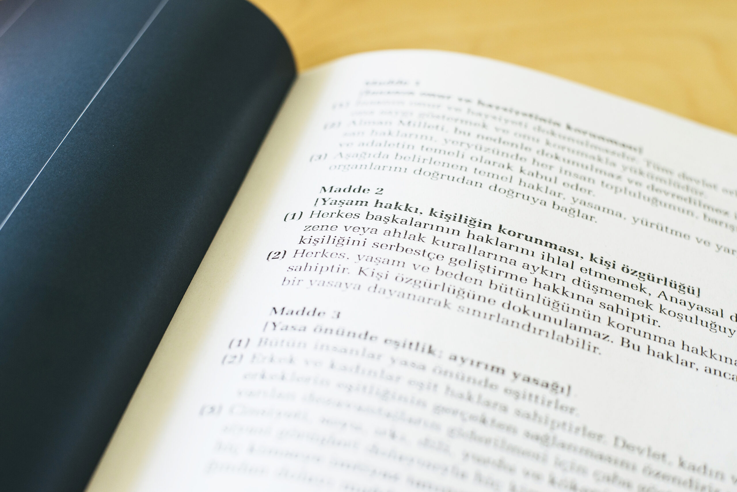 grundgesetz_sprachen-1